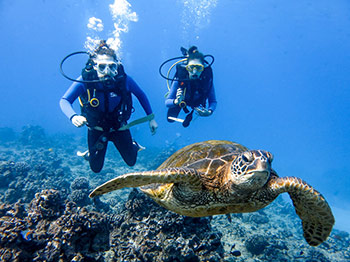 img-9888-8-5c53235f6345c